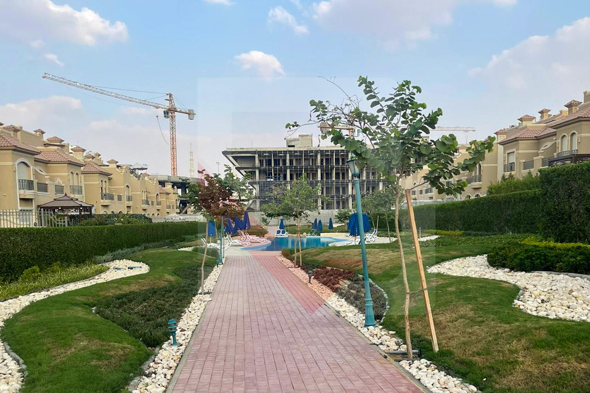 الصورة