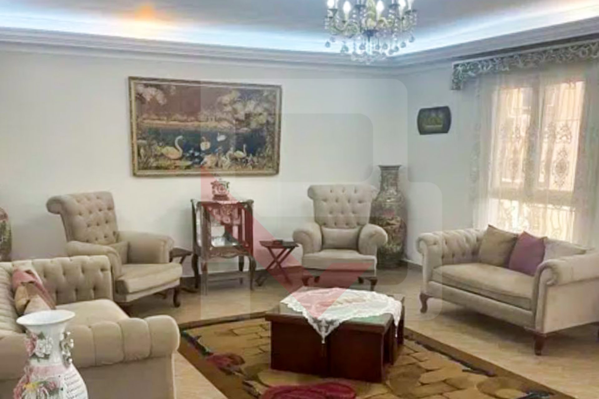 الصورة