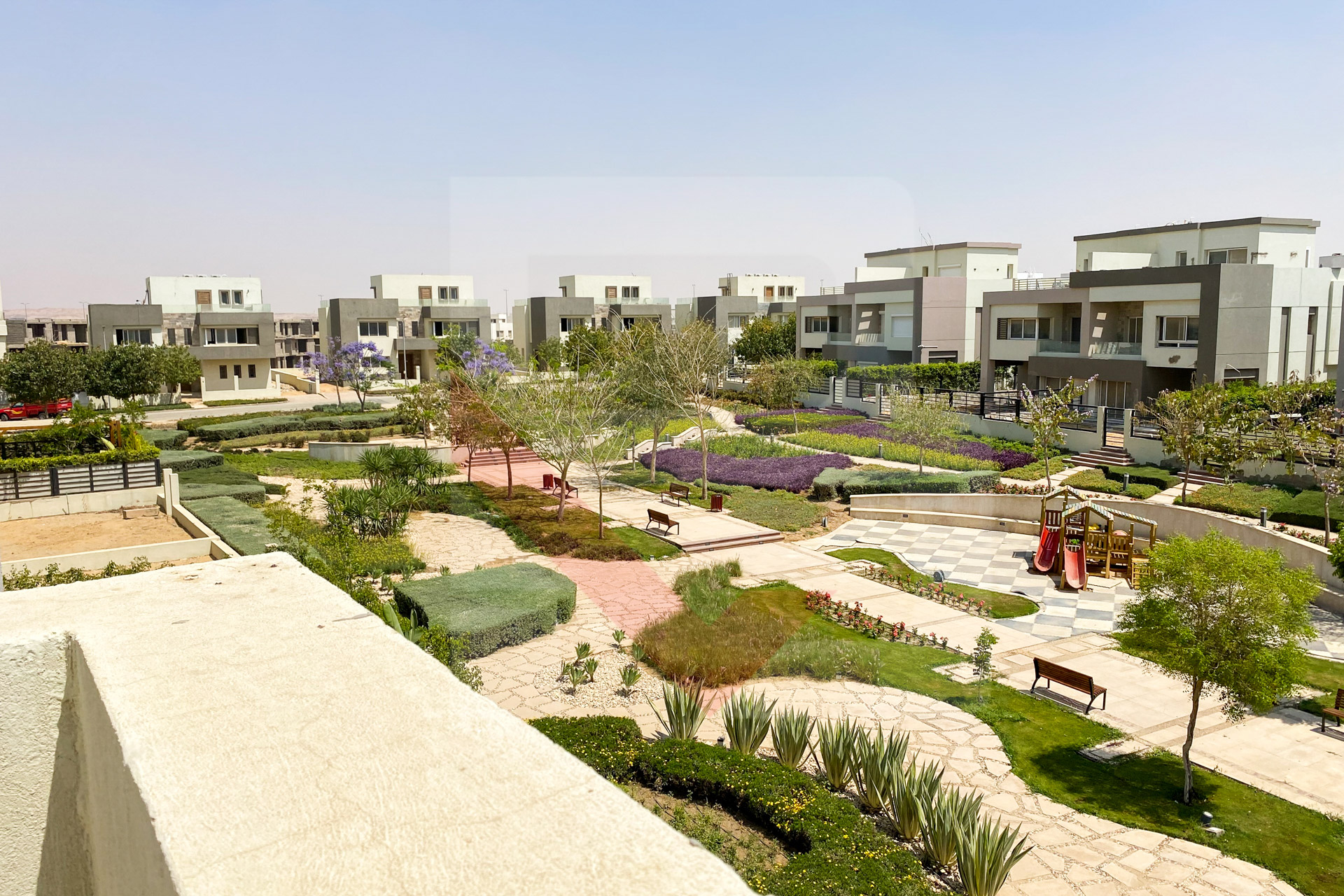 الصورة