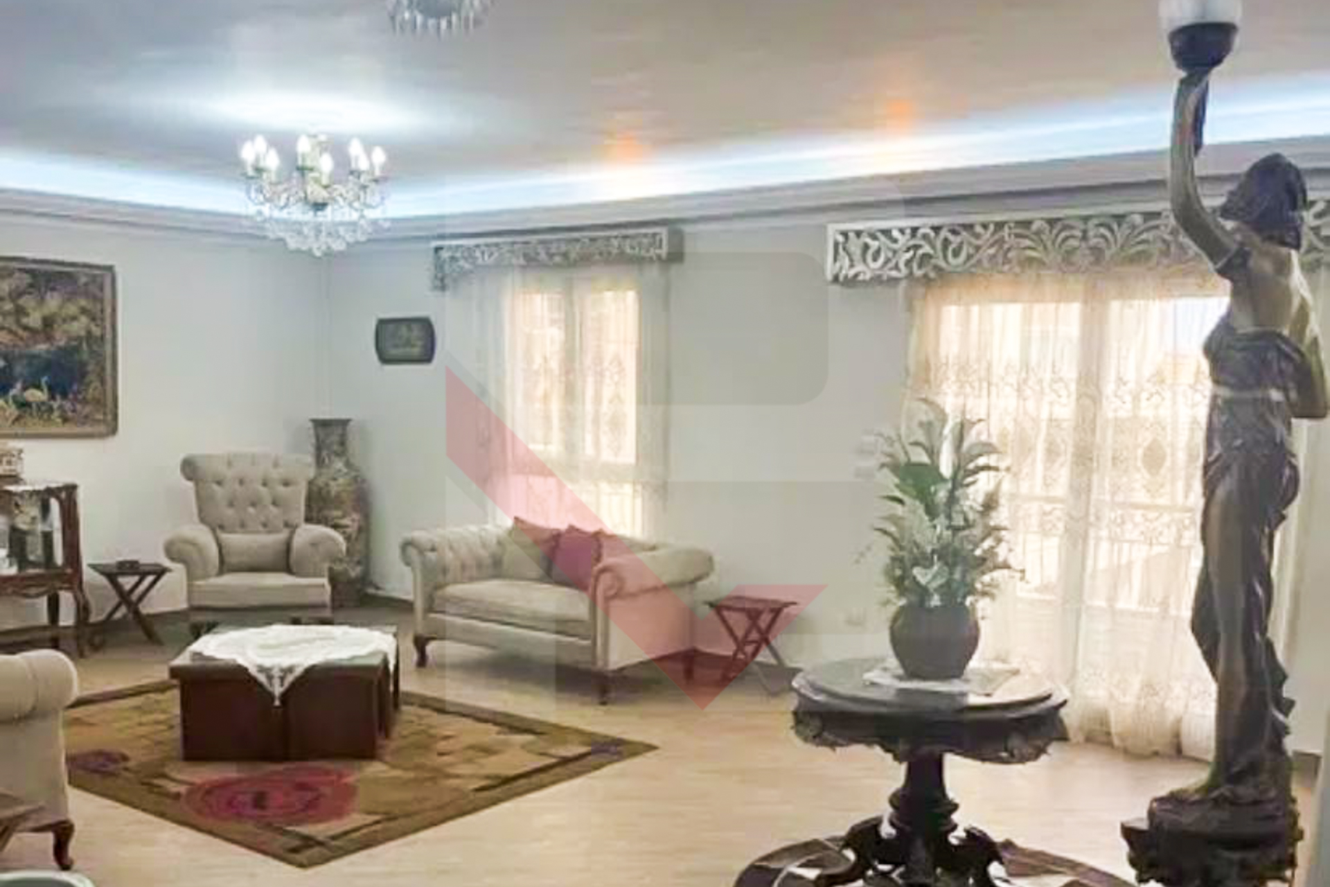 الصورة